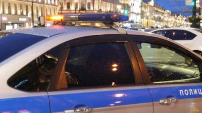Москвича отправили в больницу за вмятины на крыше полицейского авто