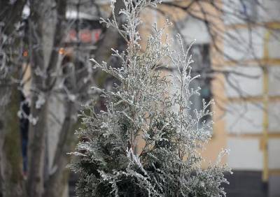 30-градусные морозы сохранятся в Рязанской области до среды