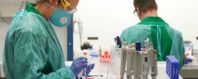 В Рязанской области обнаружены еще 83 заразившихся COVID-19