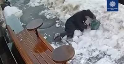 В Киеве на голову женщине упала глыба льда, ее госпитализировали (ВИДЕО)