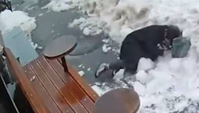 Появилось видео, как на женщину в Киеве упала глыба снега и льда