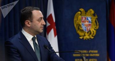"Он — криминальный элемент": премьер Грузии прокомментировал арест оппозиционера Мелия