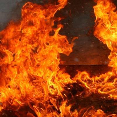 Останки двух детей найдены на месте пожара в Новосибирске