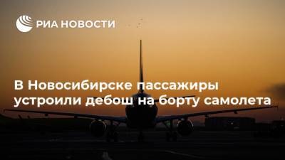 В Новосибирске пассажиры устроили дебош на борту самолета