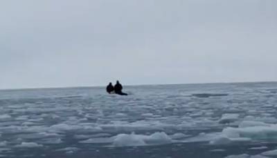 Льдина унесла мужчину на 100 метров от берега: кадры и подробности происшествия под Одессой