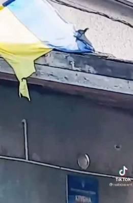 23 февраля белка-сепаратистка потроллила украинских военных