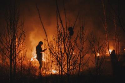 Андрей Гурулёв заявил, что 90% всех пожаров в крае происходят из-за поджогов