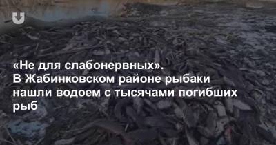 «Не для слабонервных». В Жабинковском районе рыбаки нашли водоем с тысячами погибших рыб
