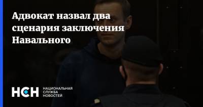 Адвокат назвал два сценария заключения Навального