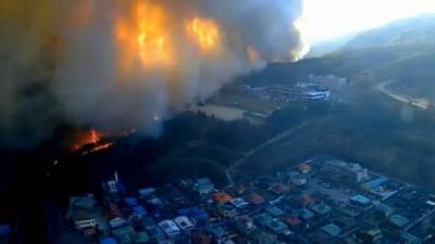 В Южной Корее – масштабные пожары: сгорело более 250 гектаров леса