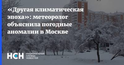«Другая климатическая эпоха»: метеоролог объяснила погодные аномалии в Москве