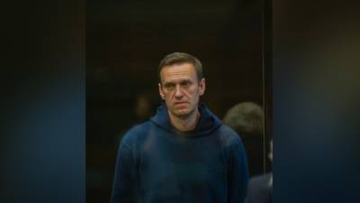 Политолог Галлямов спрогнозировал падение эффективности организаций Навального
