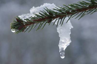 Плюсовая температура ожидается 24 февраля в Пскове