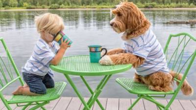 Как происходит дружба между приемным мальчиком и его собакой: трогательные фото