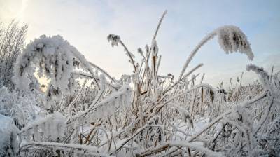 Немецкие синоптики отмечают рекордные скачки температуры в феврале