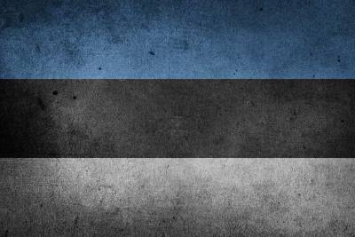 Баранец о политике Эстонии: “Стонет и стоит на коленях, делая приятно Вашингтону”