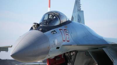 В США обеспокоились возможной покупкой Египтом истребителей Су-35