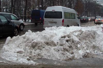 Вице-губернатор Петербурга рассказал о «лотковой зоне дорог», которую будут убирать от снега до 20 дней