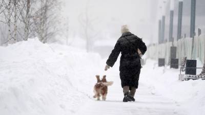 Синоптики рассказали о погоде в Москве 24 февраля