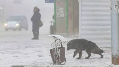Челябинскую область занесло снегом