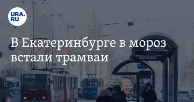 В Екатеринбурге в мороз встали трамваи