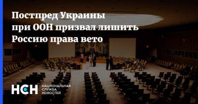 Постпред Украины при ООН призвал лишить Россию права вето