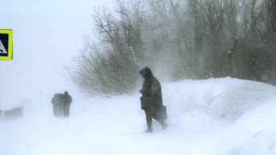 Режим ЧС ввели в трех районах Челябинской области из-за обильных снегопадов