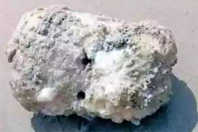 Загадочное тягучее существо с тремя глазами нашли на берегу океана - lenta.ru - штат Андхра-Прадеш