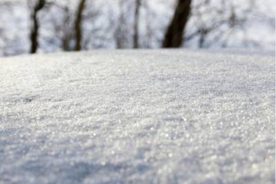 В Петербурге за два дня насыпало четверть метра снега