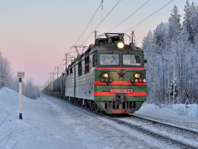 В Челябинской области женщину сбил грузовой поезд