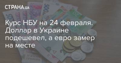 Курс НБУ на 24 февраля. Доллар в Украине подешевел, а евро замер на месте