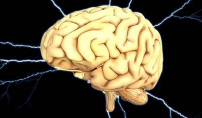 Стали известны продукты, которые улучшают работу головного мозга