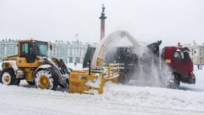 В Петербурге за выходные выпало более 30 см снега
