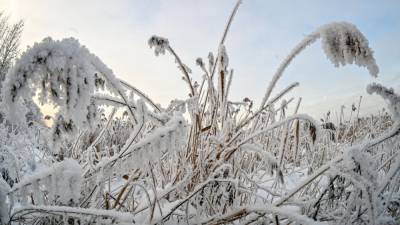 Морозы в Самаре: рекорд ВОВ, буран, салют, школьники по домам и скорая оттепель