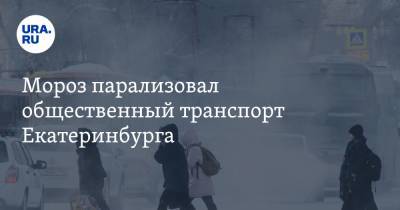 Мороз парализовал общественный транспорт Екатеринбурга