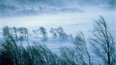 Метели и морозы на Урале продлятся до конца февраля