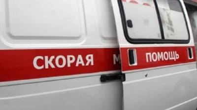 В Москве правнучка маршала Жукова сбила пешехода