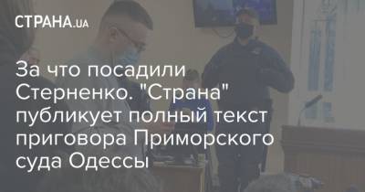 За что посадили Стерненко. "Страна" публикует полный текст приговора Приморского суда Одессы