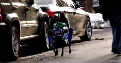 В Нью-Йорке полиция прихватила на опасный вызов робота-собаку от Boston Dynamics (видео)