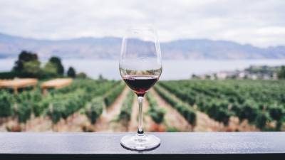 Почему вино может "задыхаться": интересные факты, о которых вы не знали