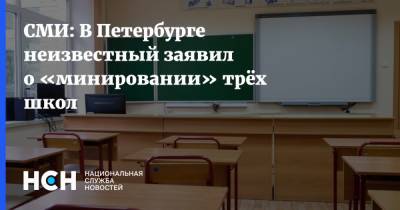 СМИ: В Петербурге неизвестный заявил о «минировании» трёх школ