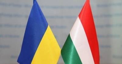 Межведомственная комиссия Украины и Венгрии обсудит закон об образовании