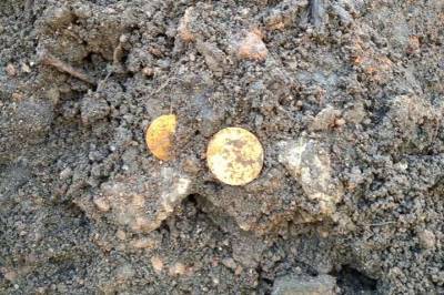 В минском сквере нашли золотые монеты конца XIX века с изображением Николая ІІ