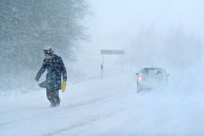 В Ярославской области ожидают снежный буран из мокрого снега