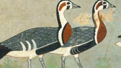 В Египте нашли древний рисунок неизвестной науке птицы