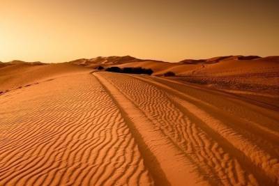 Псковские синоптики: до региона может долететь облако с песком из Сахары