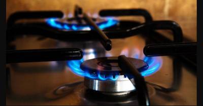 Только 8 компаний установили на март цену на газ меньше максимально разрешенной