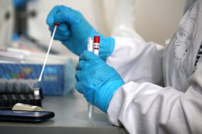 В СКФО выявлено более 300 новых случаев коронавируса