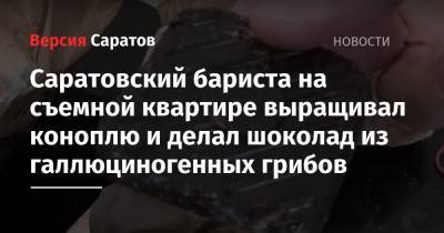 Саратовский бариста на съемной квартире выращивал коноплю и делал шоколад из галлюциногенных грибов