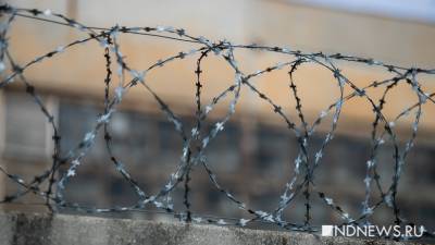 Пять лет тюрьмы и огромный штраф: как хотят наказывать за оскорбление ветеранов ВОВ